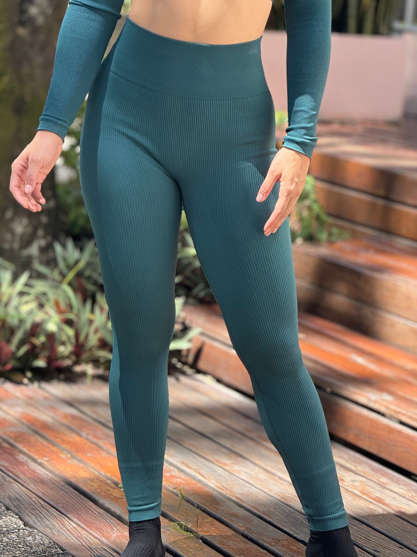 LEGGINS RIB SIN PUSH PREMIUM